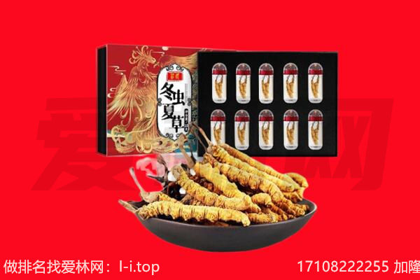 丽水回收虫草.jpg